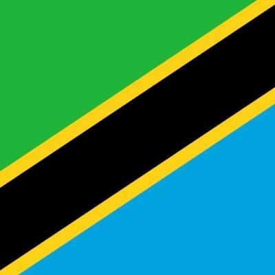 高校生の海外ボランティア タンザニアで公衆衛生 Projects Abroad